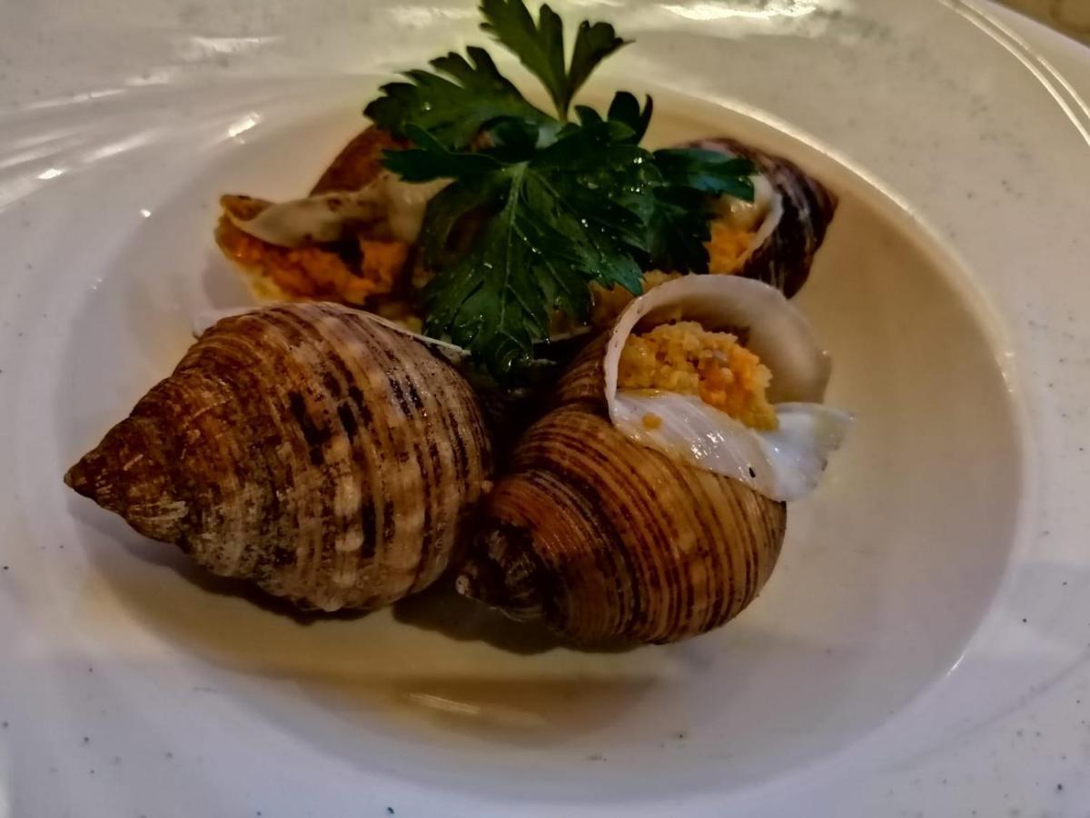 Hotel Da Mariolino Numana Zewnętrze zdjęcie